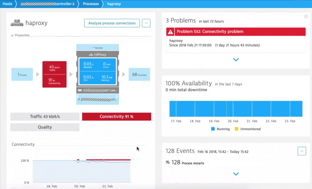 Dynatrace processes view