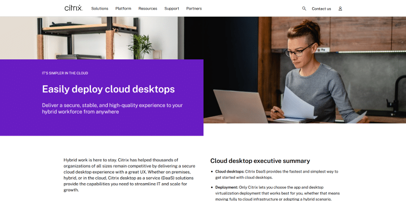 Citrix Hosted Desktops – Top for Customization