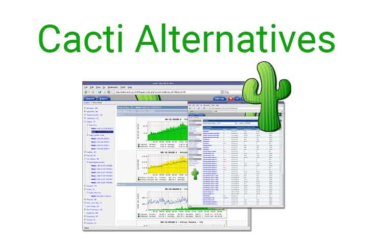alternatives to cacti