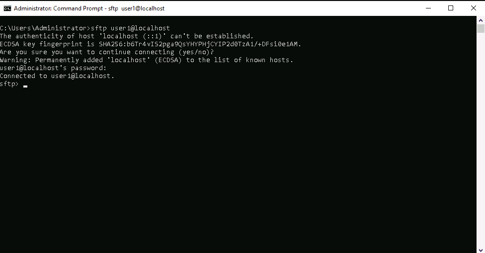 cygwin check local connection