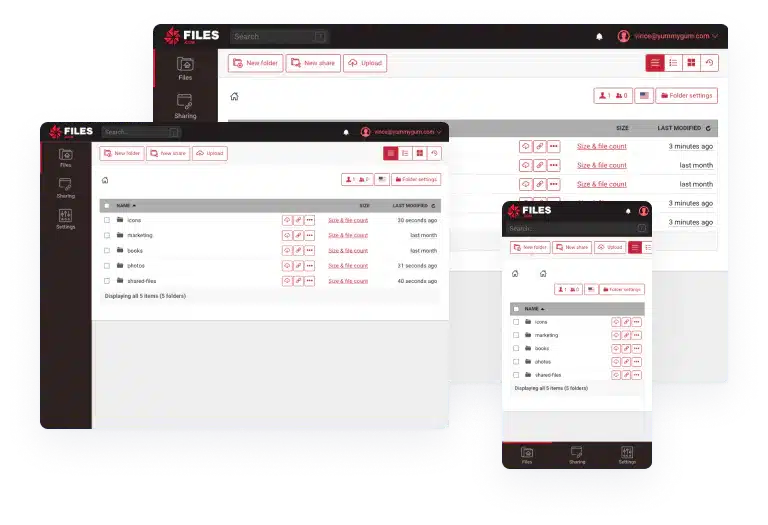 files.com screenshot