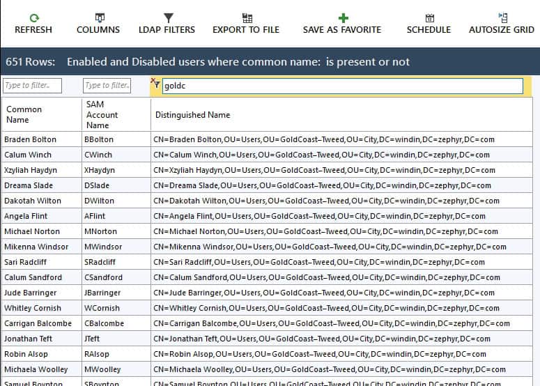 Report View