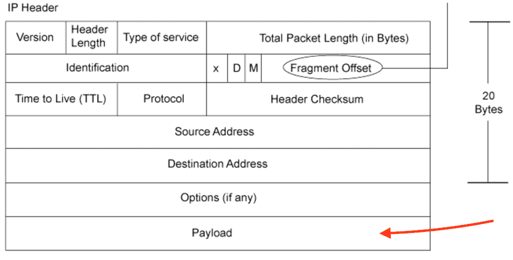 ip header