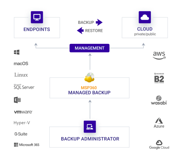 msp360