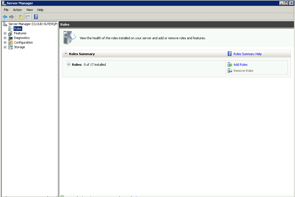 server manager